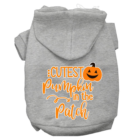 Cutest Pumpkin In The Patch Screen Print Dog Hoodie Grey L