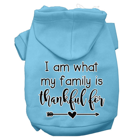 I Am What My Family Is Thankful For Screen Print Dog Hoodie Baby Blue L