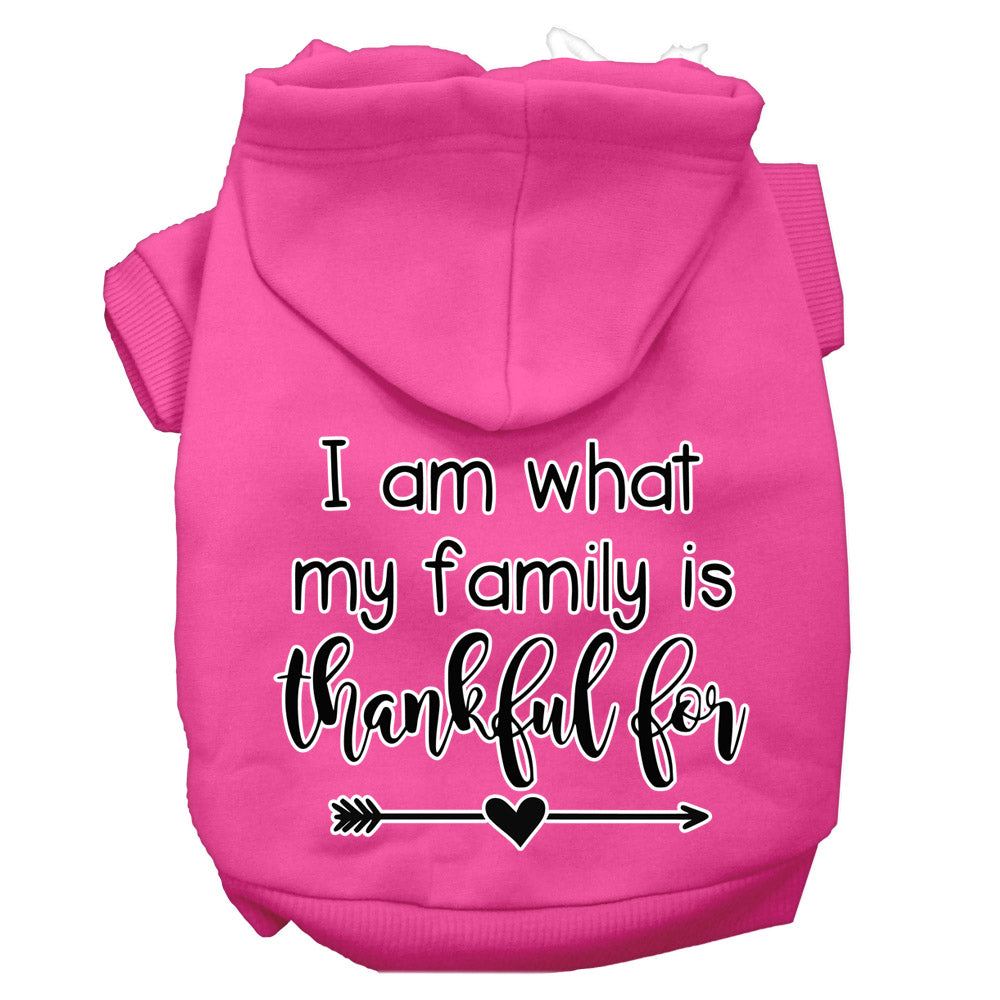 I Am What My Family Is Thankful For Screen Print Dog Hoodie Bright Pink L