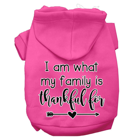 I Am What My Family Is Thankful For Screen Print Dog Hoodie Bright Pink S