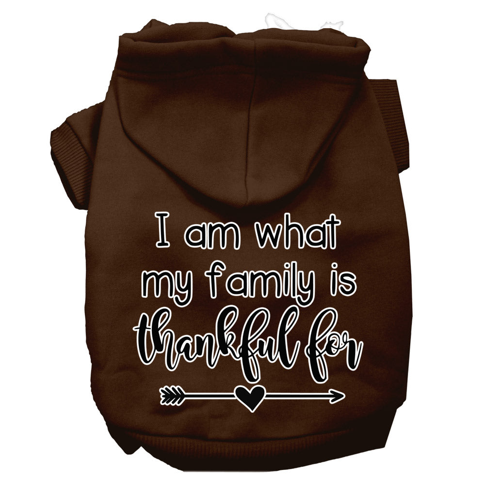 I Am What My Family Is Thankful For Screen Print Dog Hoodie Brown L