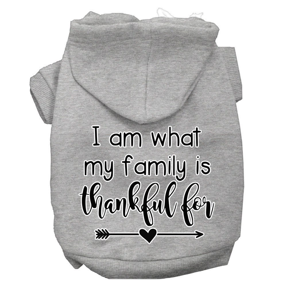 I Am What My Family Is Thankful For Screen Print Dog Hoodie Grey L