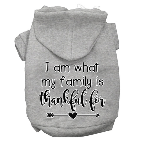 I Am What My Family Is Thankful For Screen Print Dog Hoodie Grey M