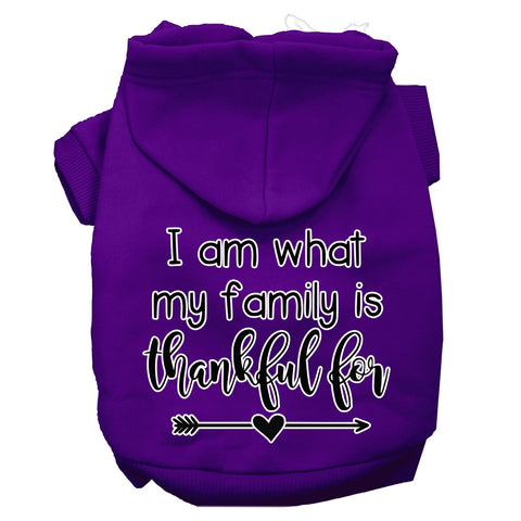 I Am What My Family Is Thankful For Screen Print Dog Hoodie Purple L