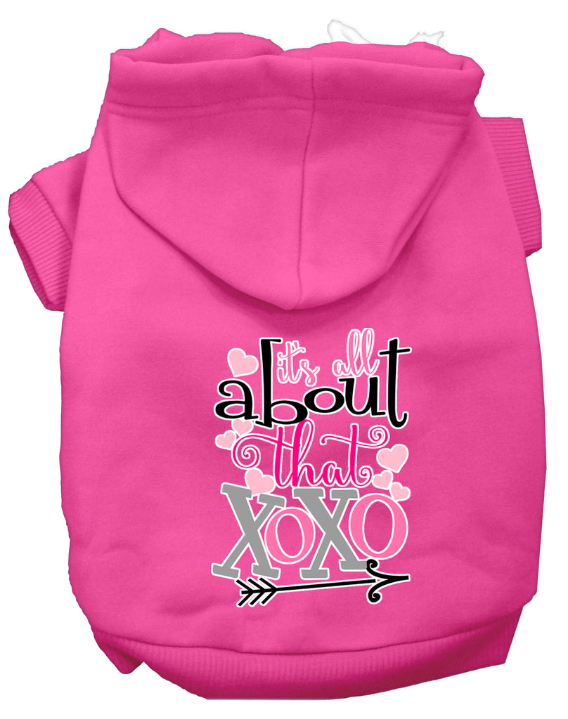 All About That Xoxo Screen Print Dog Hoodie Bright Pink L