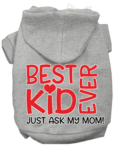 Ask My Mom Screen Print Dog Hoodie Grey Xs