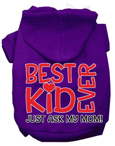 Ask My Mom Screen Print Dog Hoodie Purple Xs