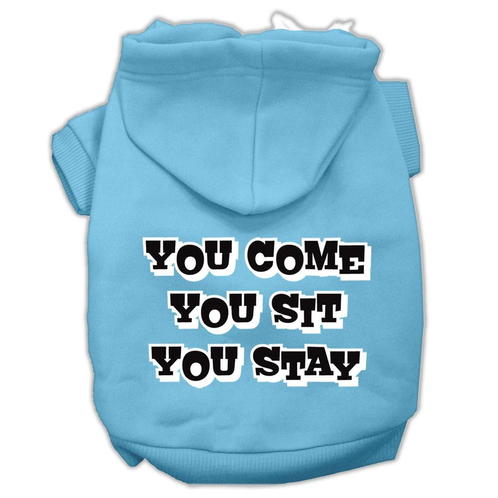 You Come, You Sit, You Stay Screen Print Pet Hoodies Baby Blue Size Lg (14)