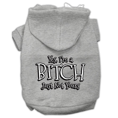 Yes Im A Bitch Just Not Yours Screen Print Pet Hoodies Grey Size Lg (14)