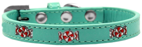 Peppermint Widget Dog Collar Aqua Size 10