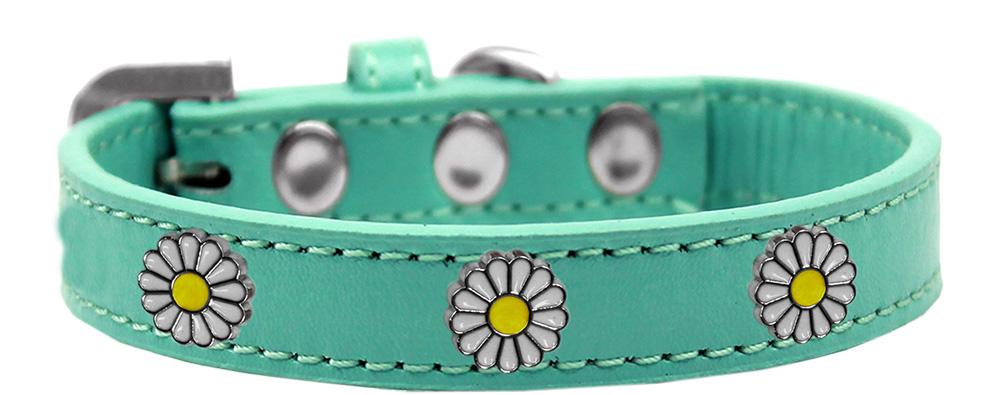 White Daisy Widget Dog Collar Aqua Size 10