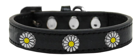 White Daisy Widget Dog Collar Black Size 10