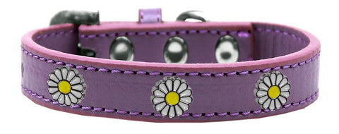 White Daisy Widget Dog Collar Lavender Size 12