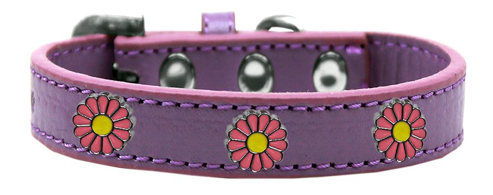 Pink Daisy Widget Dog Collar Lavender Size 12