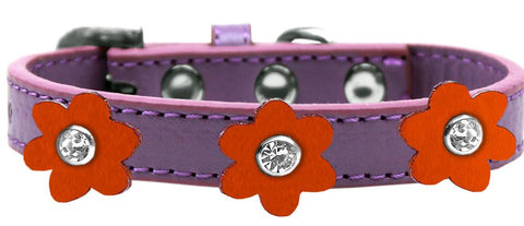 Flower Premium Collar Lavender With Orange Flowers Size 10