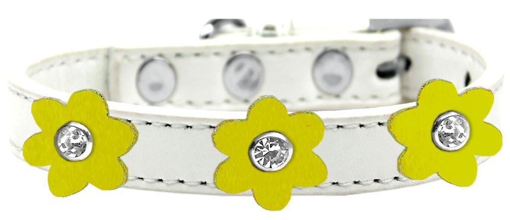 Flower Premium Collar White With Yellow Flowers Size 14