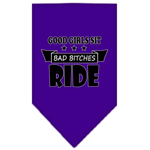 Bitches Ride Screen Print Bandana Purple Small