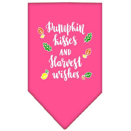 Pumpkin Kisses Screen Print Bandana Bright Pink Large