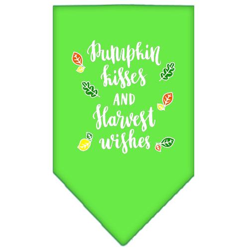 Pumpkin Kisses Screen Print Bandana Lime Green Large