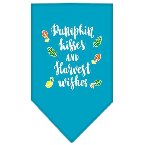 Pumpkin Kisses Screen Print Bandana Turquoise Small