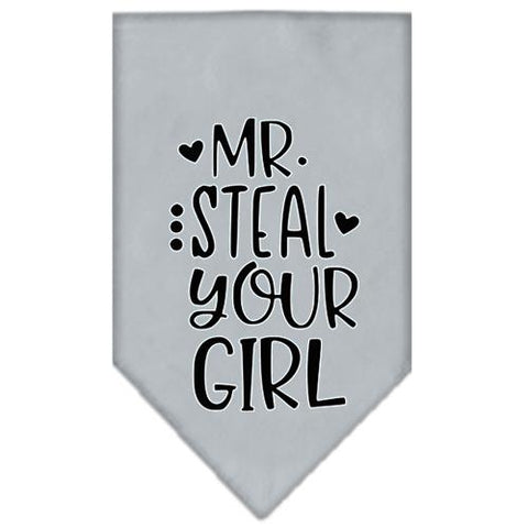 Mr. Steal Your Girl Screen Print Bandana Grey Large