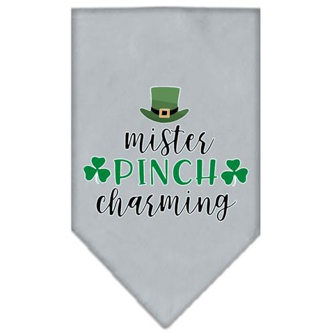 Mister Pinch Charming Screen Print Bandana Grey Large