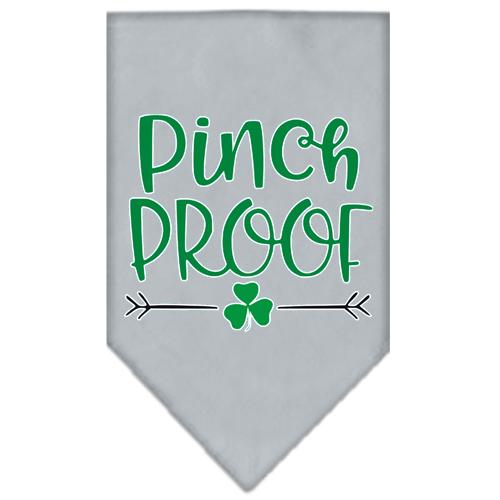 Pinch Proof Screen Print Bandana Grey Large