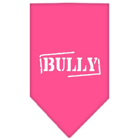 Bully Screen Print Bandana Bright Pink Small