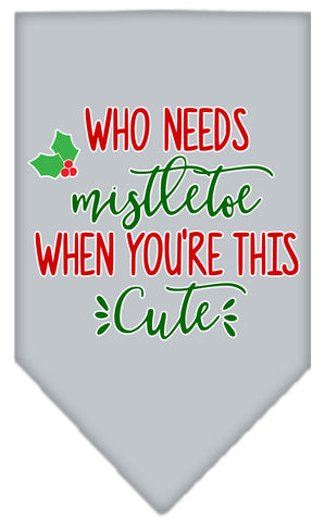 Who Needs Mistletoe Screen Print Bandana Grey Large