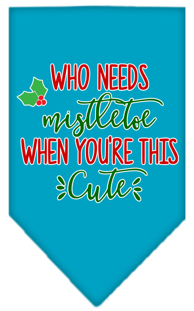 Who Needs Mistletoe Screen Print Bandana Turquoise Large