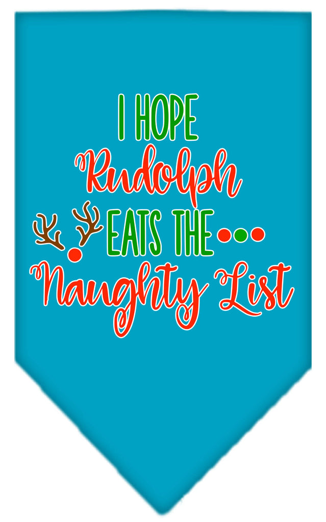 Hope Rudolph Eats Naughty List Screen Print Bandana Turquoise Small