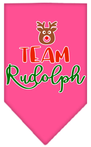 Team Rudolph Screen Print Bandana Bright Pink Small