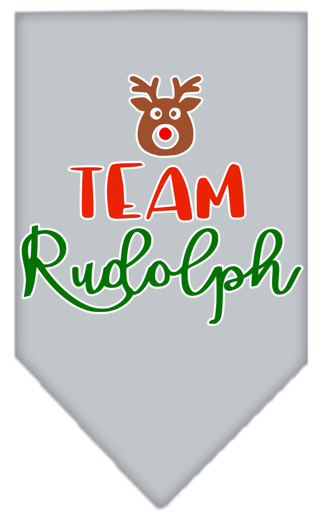 Team Rudolph Screen Print Bandana Grey Small