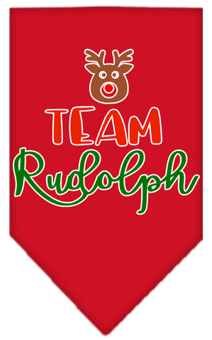 Team Rudolph Screen Print Bandana Red Small