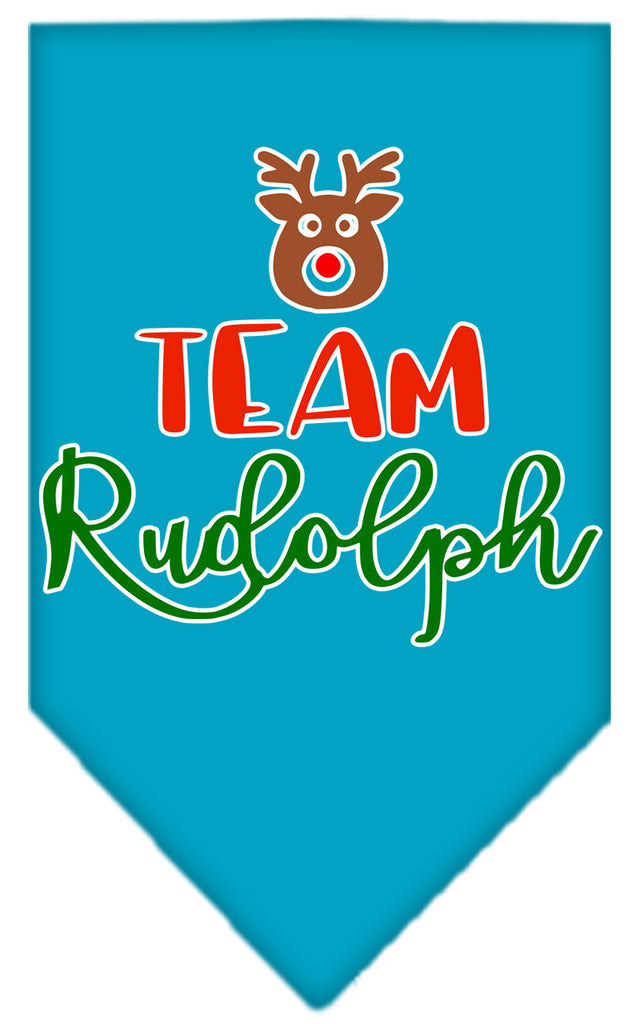 Team Rudolph Screen Print Bandana Turquoise Small