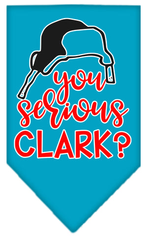 You Serious Clark? Screen Print Bandana Turquoise Small