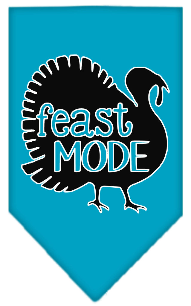 Feast Mode Screen Print Bandana Turquoise Small