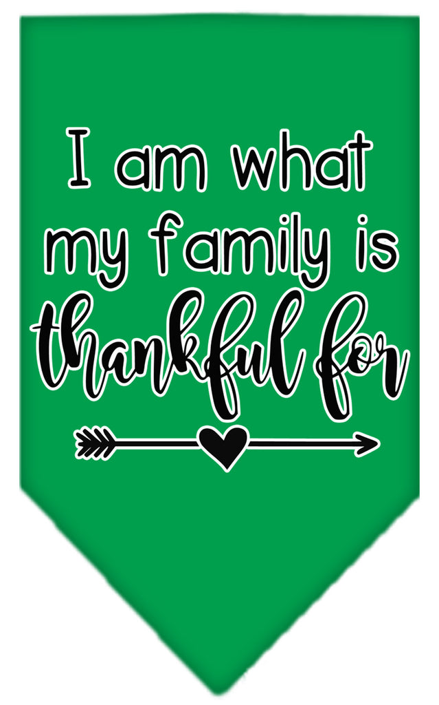 I Am What My Family Is Thankful For Screen Print Bandana Emerald Green Large