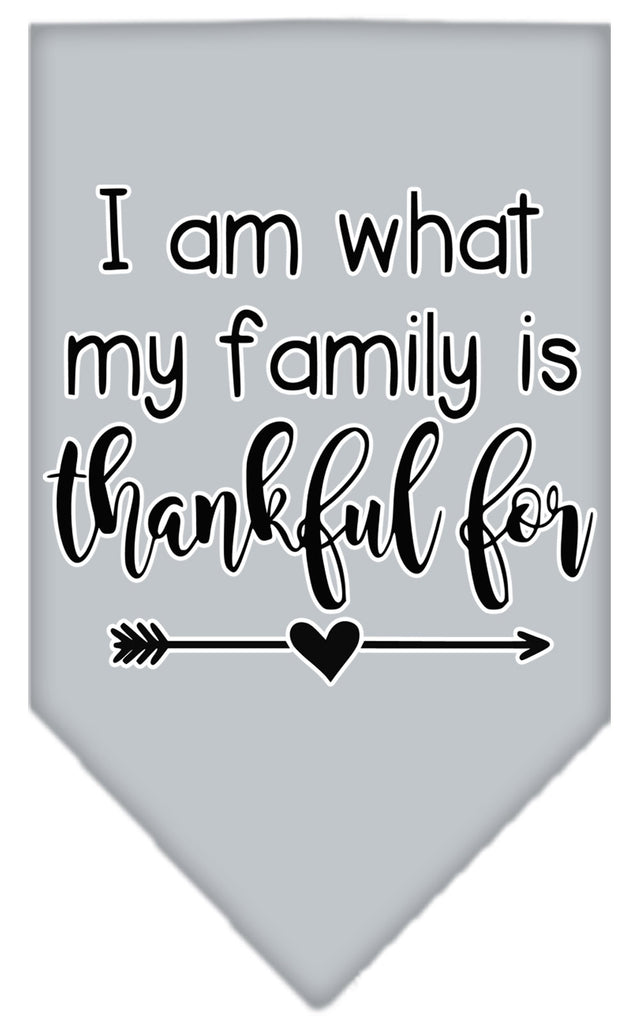 I Am What My Family Is Thankful For Screen Print Bandana Grey Large