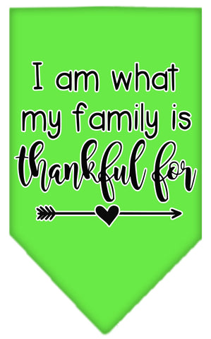 I Am What My Family Is Thankful For Screen Print Bandana Lime Green Large