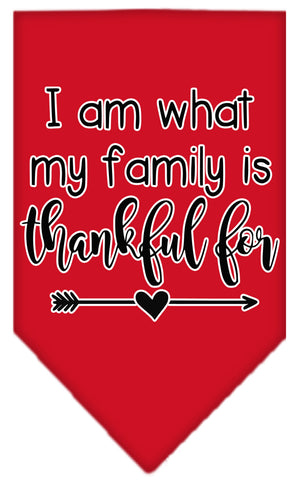 I Am What My Family Is Thankful For Screen Print Bandana Red Large