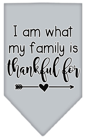 I Am What My Family Is Thankful For Screen Print Bandana Grey Small