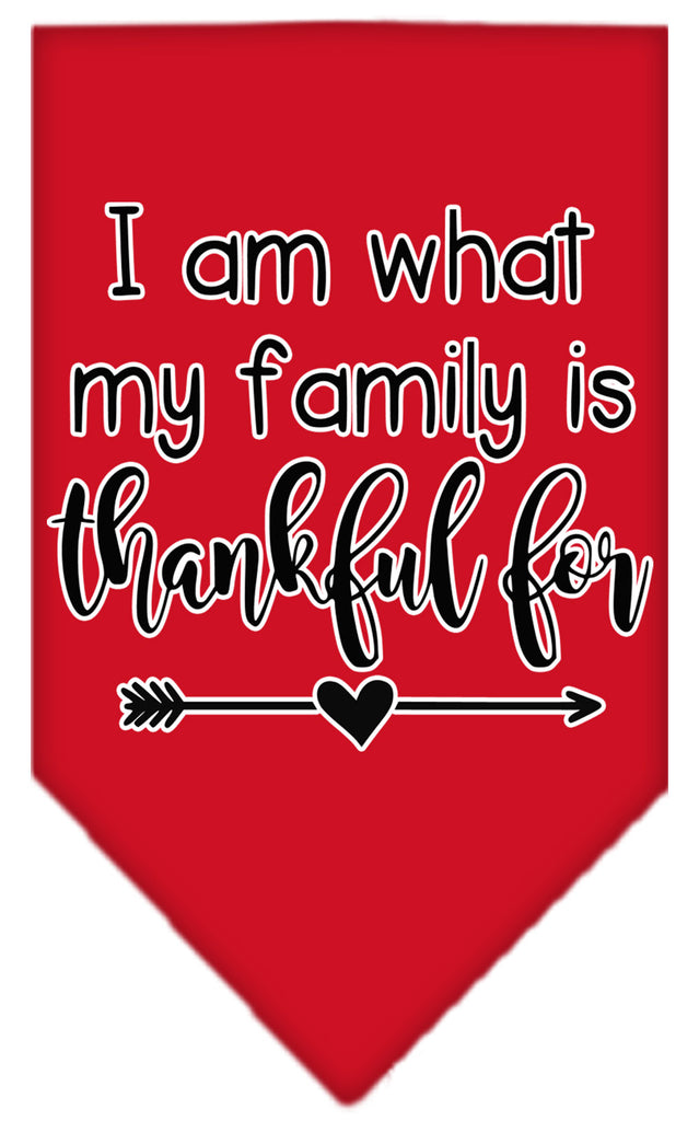 I Am What My Family Is Thankful For Screen Print Bandana Red Small