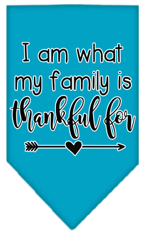 I Am What My Family Is Thankful For Screen Print Bandana Turquoise Small