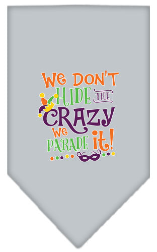 We Don't Hide The Crazy Screen Print Mardi Gras Bandana Grey Large