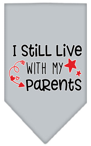 Still Live With My Parents Screen Print Pet Bandana Grey Large