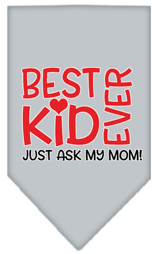 Ask My Mom Screen Print Pet Bandana Grey Small