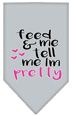 Tell Me I'm Pretty Screen Print Pet Bandana Grey Large