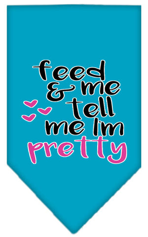 Tell Me I'm Pretty Screen Print Pet Bandana Turquoise Small