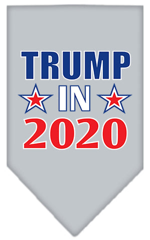 Trump In 2020 Screen Print Bandana Grey Small